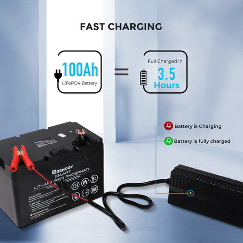 12V 20A AC-to-DC LFP Portable Battery Charger