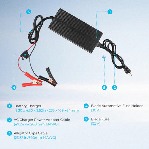 12V 20A AC-to-DC LFP Portable Battery Charger