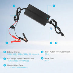 12V 20A AC-to-DC LFP Portable Battery Charger