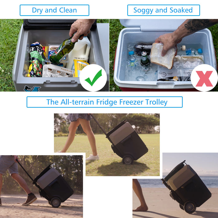 LionCooler Pro Portable Solar Fridge Freezer, 42 Quarts